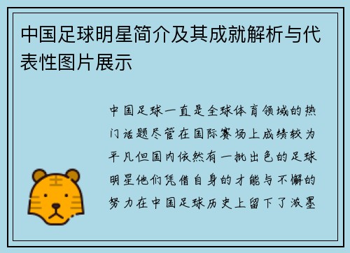 中国足球明星简介及其成就解析与代表性图片展示
