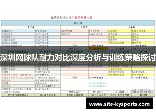 深圳网球队耐力对比深度分析与训练策略探讨