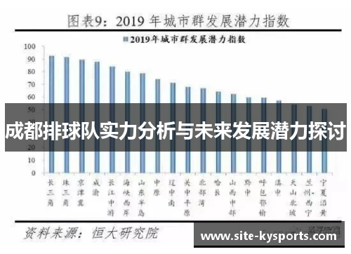 成都排球队实力分析与未来发展潜力探讨